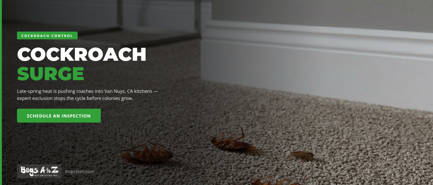 Late-Spring Cockroach Control in Van Nuys, CA