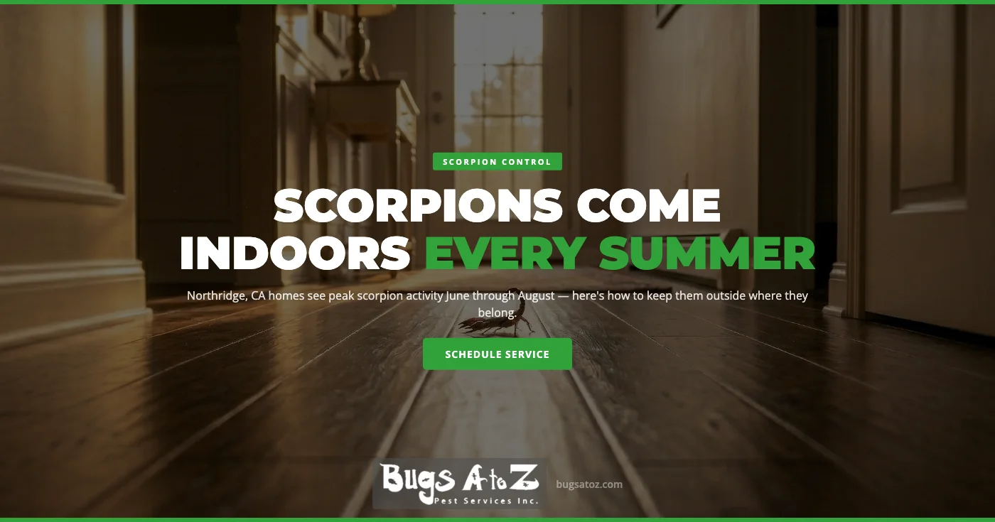 Summer Scorpion Season in Northridge, CA