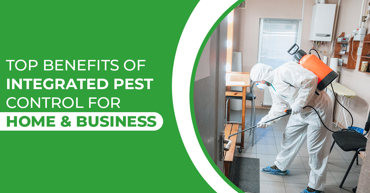 Integrated Pest Control: Efficient, Sustainable, and Smart