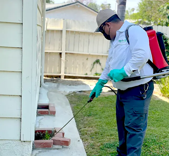 Pest control technician in protective gear spraying pesticide around house foundation using red backpack sprayer — focused residential pest extermination service.
