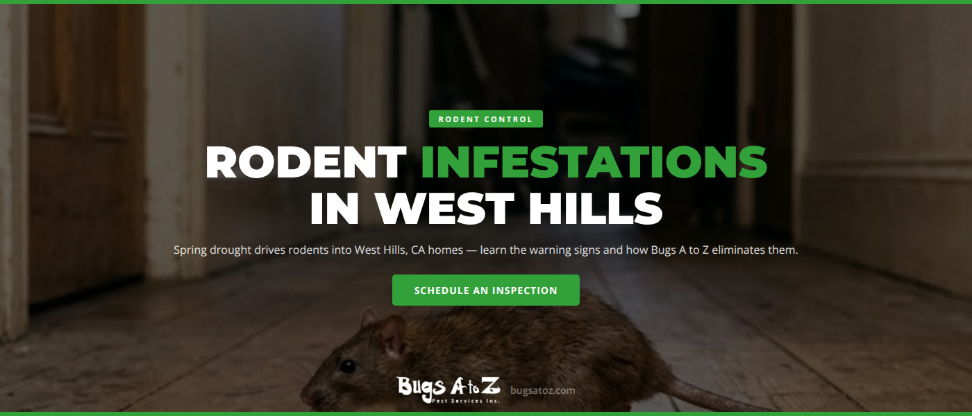 Rodent control in West Hills CA - Bugs A to Z pest services removing roof rats and mice from a home